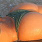 SAVANA BOTTOM
